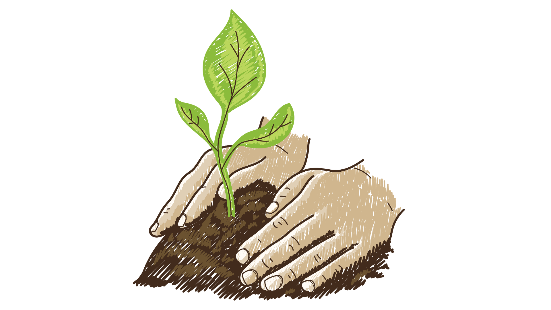 Mãos plantando