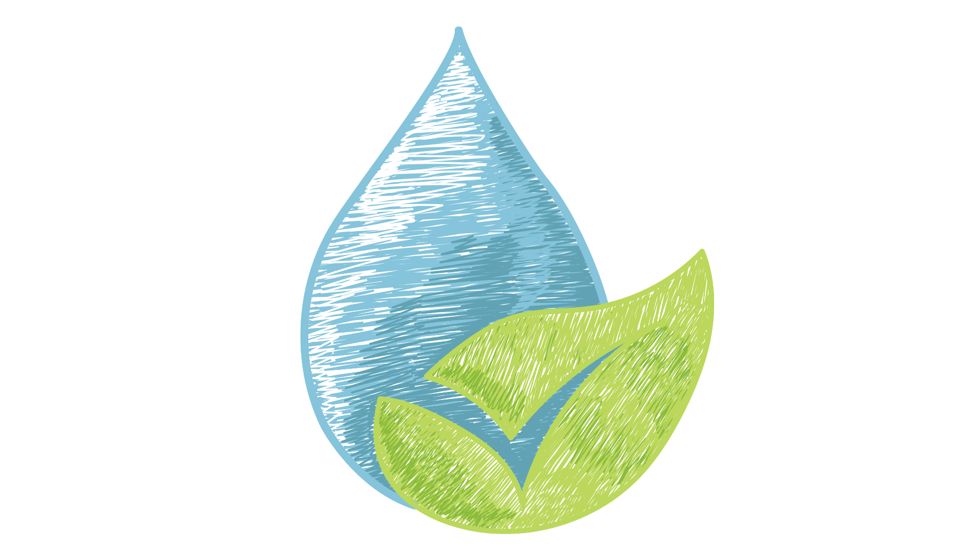 Gota d'água e folha