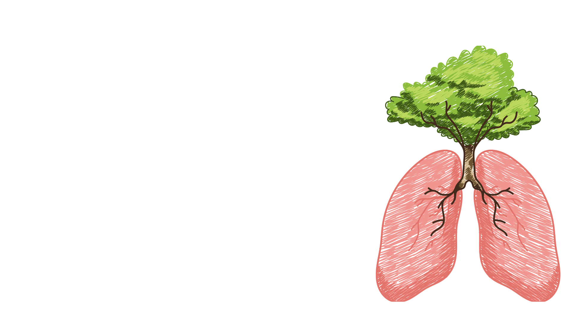 Árvore em formato de pulmão